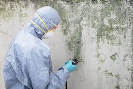 Carmel, IN Mold Removal Company